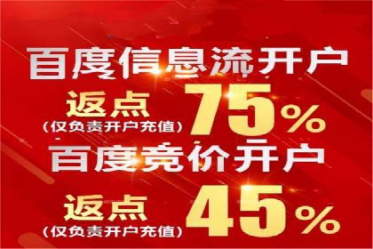 成功SEM服务案例：优化广告投放